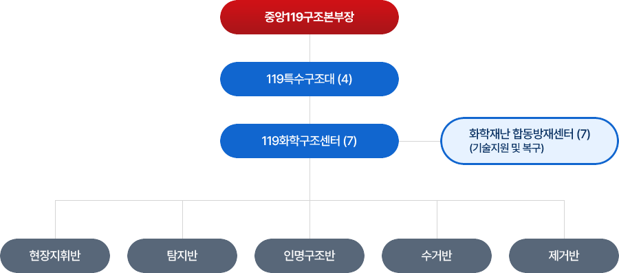 중앙119구조대편성체계