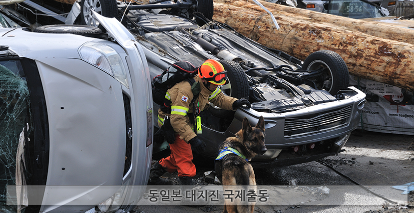 동일본 대지진 국제출동