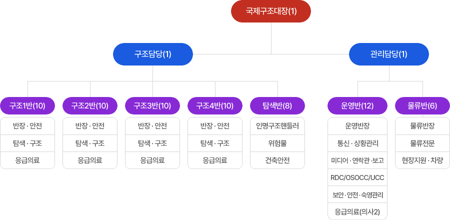 국제구조대 조직도